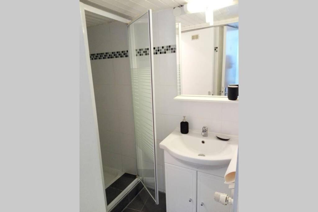 Appartement Cosy Rue Sainte Madeleine ストラスブール エクステリア 写真
